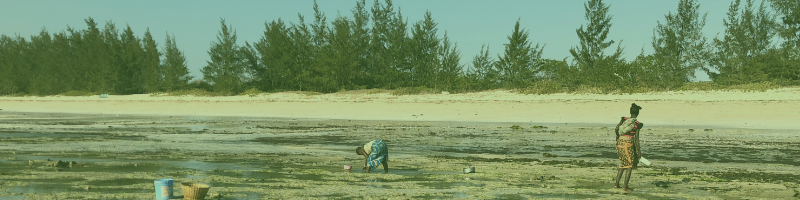 WS4R_Innovation_Fund_Blog_1_ZSL.png